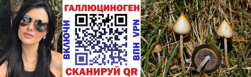 Псилоцибиновые грибы Psilocybe  наркошоп  Макарьев 