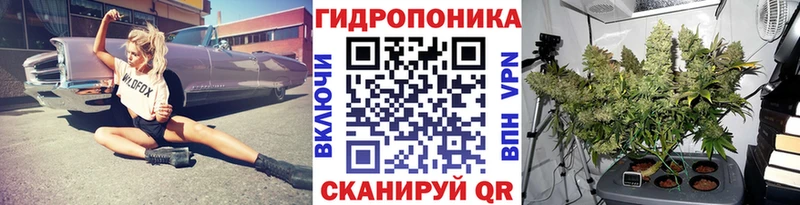 где купить наркоту  Макарьев  Конопля конопля 